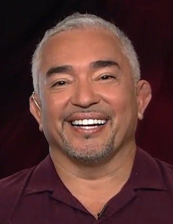 Post The 67 top motivational speakers in the world for 2021 on Speakers Associates Cesar Millan Motivational Speaker